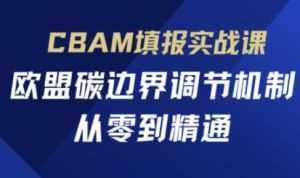 欧盟CBAM填报指南：零基础速通碳边界调节机制-小伟资源网