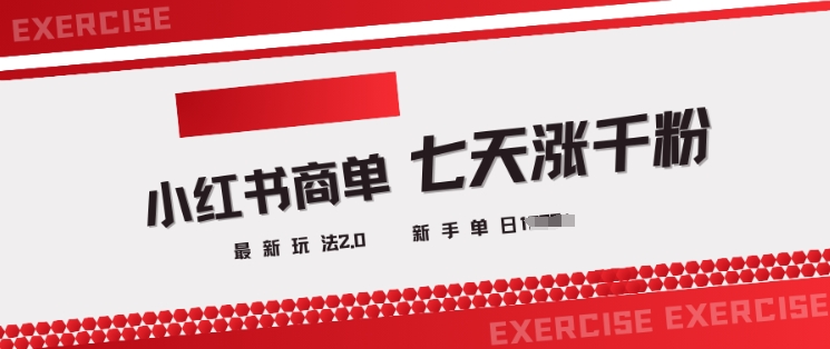 \”小红书商单2.0爆粉攻略：3天千粉+日入多单变现秘籍\”-小伟资源网