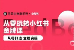 小红书电商运营实战课：零基础速成，手把手教你打造爆款店铺-小伟资源网