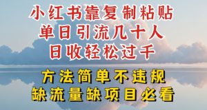 小红书搬运引流术：日引几十人轻松月入过万，0违规实操揭秘-小伟资源网