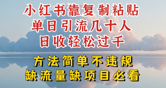 小红书搬运引流术：日引几十人轻松月入过万，0违规实操揭秘-小伟资源网