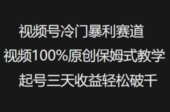 \”3天破千！视频号原创暴利赛道保姆级教程，冷门玩法轻松赚钱\”-小伟资源网