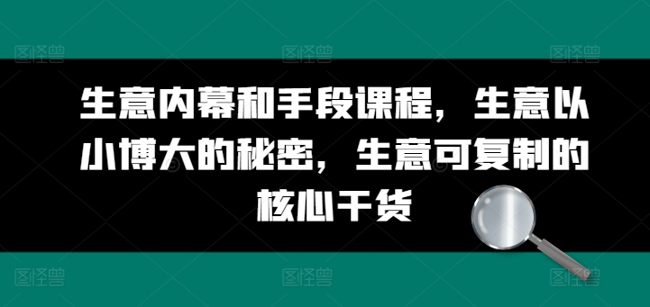 《商业制胜秘籍：揭秘以小博大核心策略与可复制的实战干货》-小伟资源网