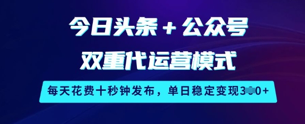 \”揭秘：头条+公众号双平台代运营，10秒日发轻松日赚300元\”-小伟资源网