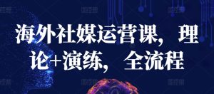 《海外社媒运营实战课：理论+演练，手把手教你玩转全流程》-小伟资源网