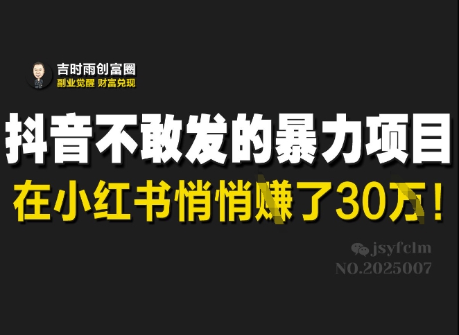 \”小红书隐秘暴利项目：抖音不敢发，有人已赚30W\”-小伟资源网