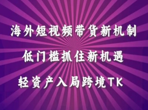 \”TikTok跨境带货新风口：低门槛轻资产掘金海外市场\”-小伟资源网