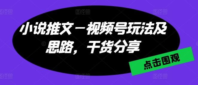 \”小说推文视频号运营全攻略：爆款思路与实操干货\”-小伟资源网