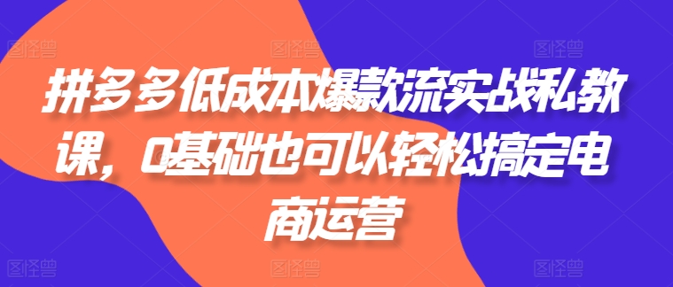 \”拼多多0基础电商速成课：低成本打造爆款实战指南\”-小伟资源网