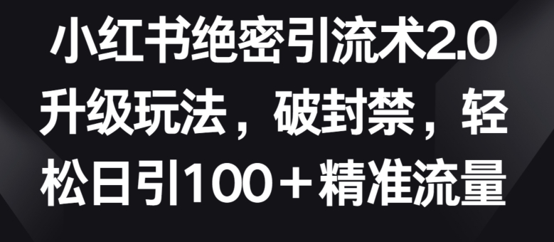 小红书防封引流2.0：日引100+精准粉实战攻略-小伟资源网