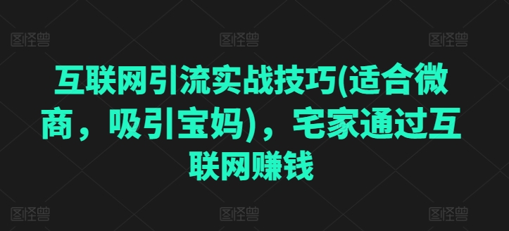 \”微商宝妈必学：宅家互联网引流变现50招，轻松赚钱！\”-小伟资源网