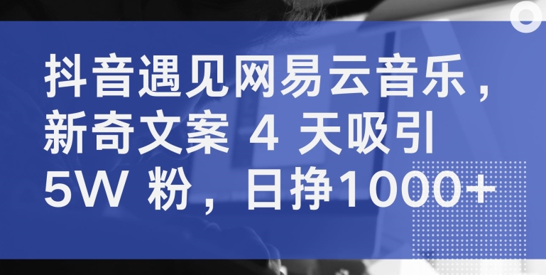 \”抖音+网易云4天吸粉5W，日赚千元文案玩法大公开！\”-小伟资源网