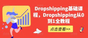 零基础入门Dropshipping:从0到1完整实战指南-小伟资源网