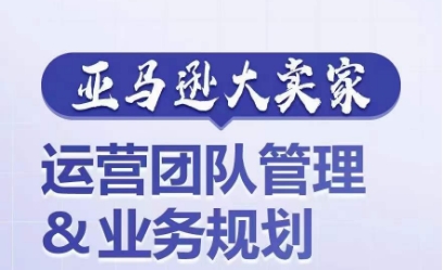 揭秘亚马逊大卖家：如何打造高效运营团队与业务规划-小伟资源网