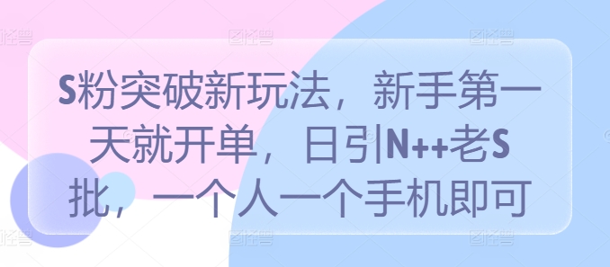 \”新手速成！单机日引N+老S粉，首日开单秘籍大公开\”-小伟资源网