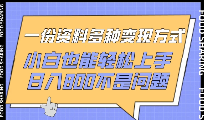 \”小白必看！1份资料轻松日赚800的N种变现秘籍\”-小伟资源网