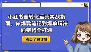 小红书爆款笔记变现全攻略:高转化运营链路拆解-小伟资源网