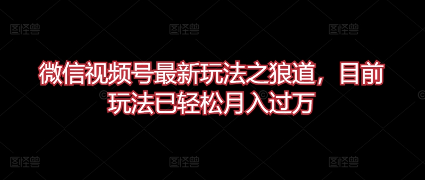 \”揭秘微信视频号狼道玩法：轻松月入过万最新技巧\”-小伟资源网