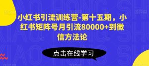 小红书矩阵号月引流8万+实战课:15期训练营教你高效导流微信-小伟资源网