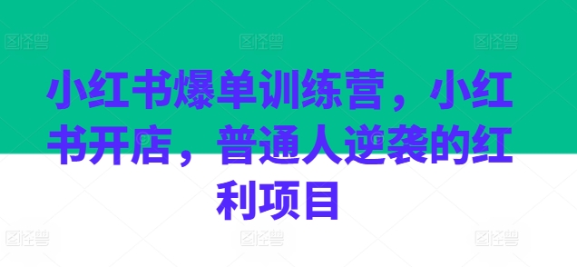 \”小红书开店爆单指南：普通人逆袭的赚钱红利\”-小伟资源网