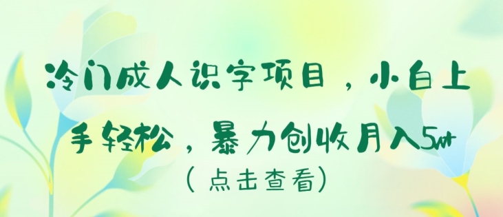 \”冷门成人识字项目：新手轻松上手，月入5万+暴利玩法大揭秘\”-小伟资源网