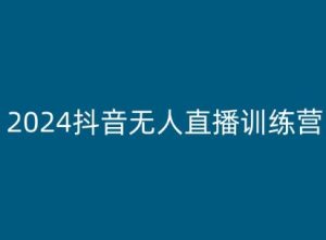 2024抖音无人直播实战指南:玩法解析与技巧大全-小伟资源网