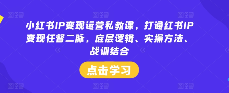 《小红书IP变现私教课：打通底层逻辑+实战方法，快速掌握红书运营变现秘籍》-小伟资源网