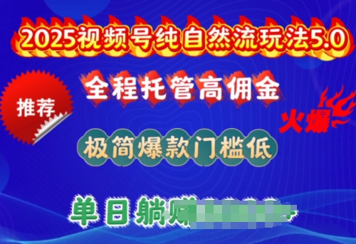 \”2025视频号自然流5.0：托管高佣玩法，爆款低门槛日赚多单【揭秘】\”-小伟资源网