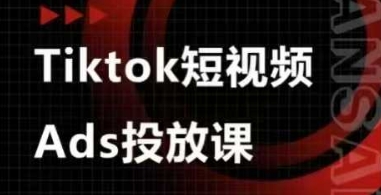 \”TikTok短视频广告投放实战课：从入门到精通\”-小伟资源网