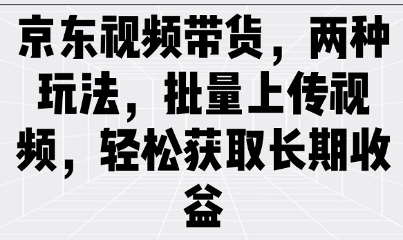 京东视频带货：批量上传+双玩法，轻松赚取长期收益-小伟资源网