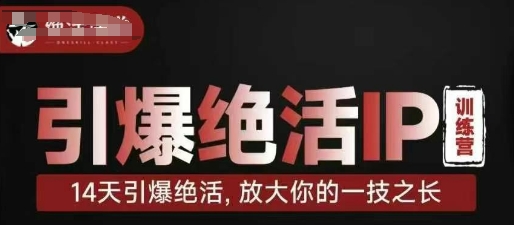 14天绝活IP速成班：快速引爆你的独特技能-小伟资源网