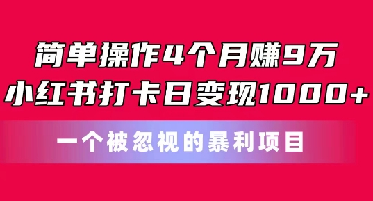 4个月赚9万！小红书打卡日入1千的暴利玩法大揭秘-小伟资源网
