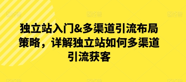 独立站多渠道引流攻略：从入门到精准获客全解析-小伟资源网