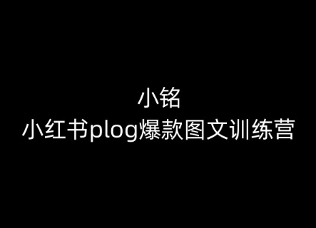 \”0基础速成小红书爆款图文！小铭Plog训练营手把手教学\”-小伟资源网