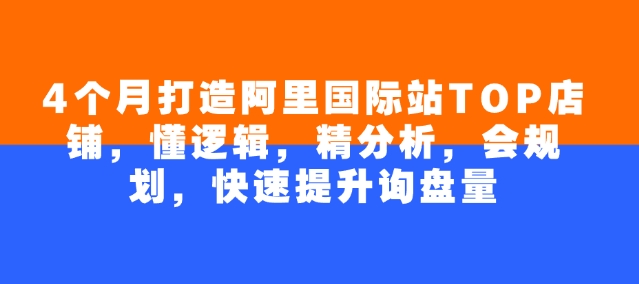 阿里国际站4个月速成TOP店铺：逻辑+分析+规划，询盘暴涨秘籍-小伟资源网