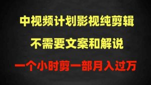 影视剪辑暴利揭秘：1小时剪1部，无解说也能月入过万-小伟资源网