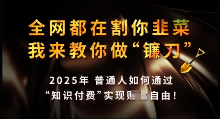 2025知识付费暴利指南：轻松月入过万的终极秘籍-小伟资源网