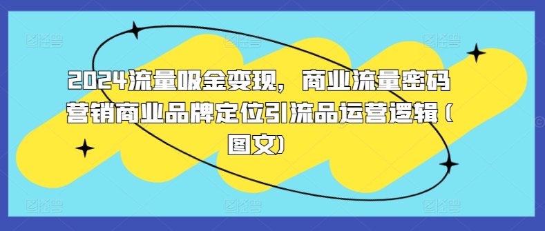 2024商业流量密码：品牌定位+引流品运营变现指南-小伟资源网