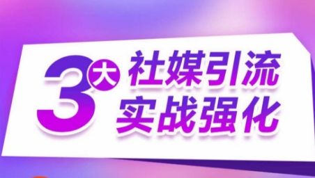 \”3大社媒精准引流实战：多渠道高效获客，订单销量翻倍秘籍\”-小伟资源网