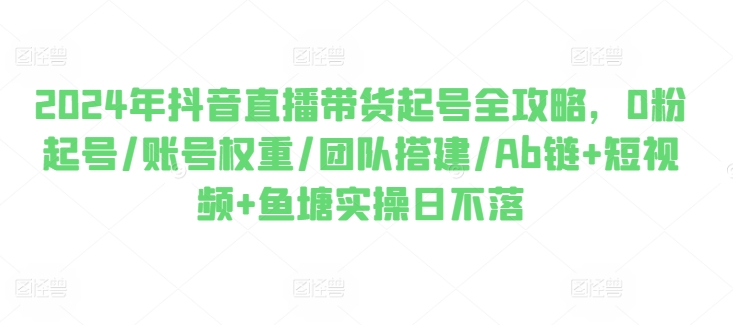 2024抖音直播带货0粉起号指南：权重提升、团队搭建与日不落运营全解析-小伟资源网
