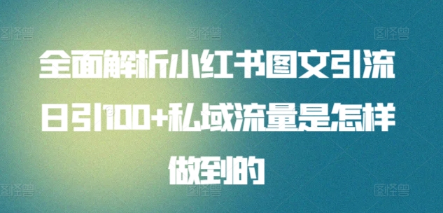 小红书图文引流秘籍：日增100+私域流量的实操全攻略-小伟资源网