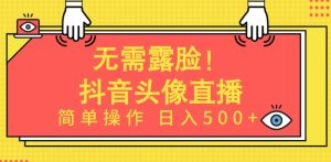 AI头像直播轻松赚钱:零门槛日赚500+全攻略-小伟资源网