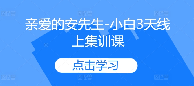 \”安先生亲授：3天小白速成线上课\”-小伟资源网