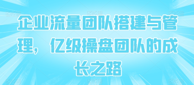 《亿级流量团队打造：企业高效搭建与管理实战全攻略》-小伟资源网
