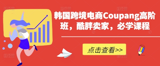 \”韩国Coupang高阶运营课：酷胖卖家必备实战指南\”-小伟资源网