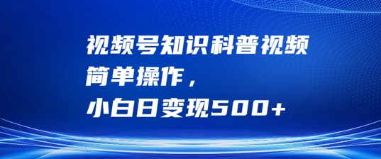 \”新手必看！视频号科普变现秘籍，日赚500+超简单【干货】\”-小伟资源网