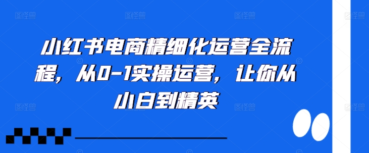 《小红书电商0-1运营指南：精细化实操全流程，新手变精英》-小伟资源网