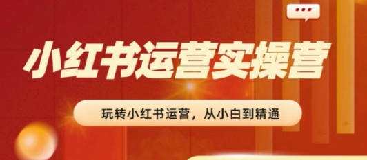 2024小红书运营实战：零基础速成，快速涨粉变现攻略-小伟资源网