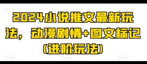 2024小说推文进阶玩法:动漫剧情+图文标记全攻略-小伟资源网