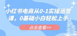 《0基础玩转小红书电商:新手从入门到精通实操指南》-小伟资源网